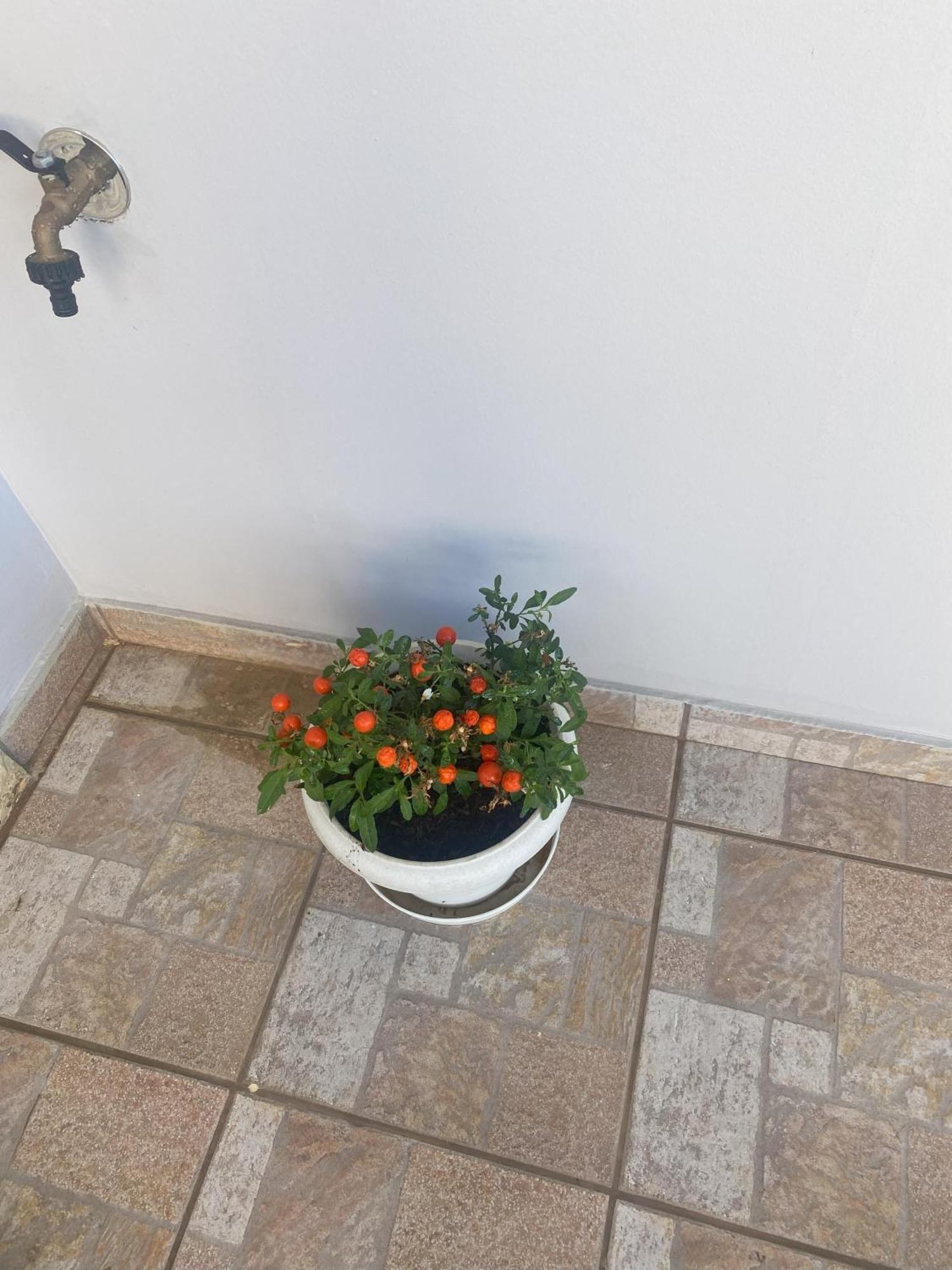 New Unique Apartment In Heraklion المظهر الخارجي الصورة
