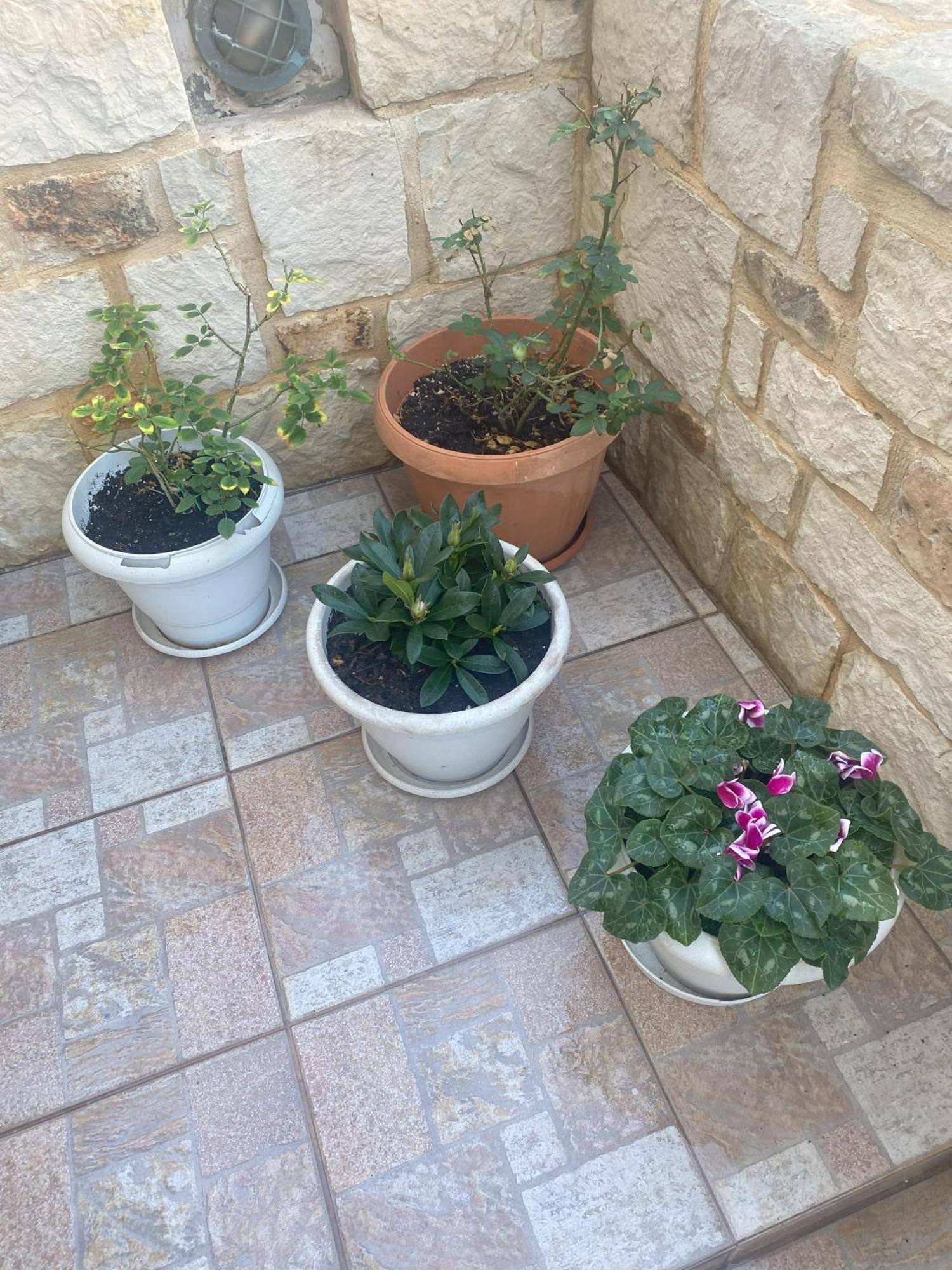 New Unique Apartment In Heraklion المظهر الخارجي الصورة
